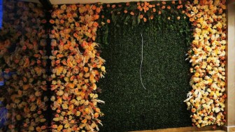 Vertical Garden and Artificial Rose Wall Studies 11