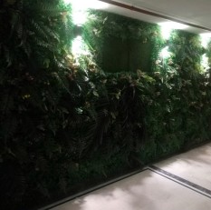 Vertical Garden and Artificial Rose Wall Studies 3