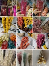 Dried Flower, Shocked Real Flower 2
