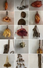 Dried Flower, Shocked Real Flower 5